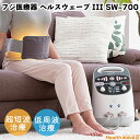 フジ医療器 ヘルスウェーブIII SW-700 低周波 超短波 組合せ...(2)