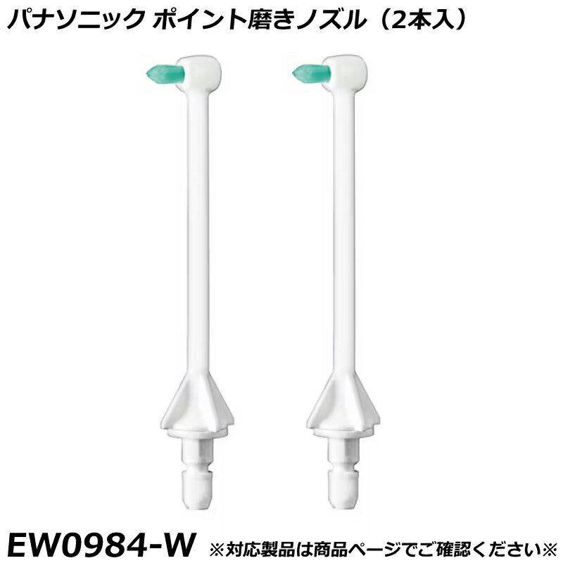 パナソニック 純正品 ジェットウォッシャー ドルツ用 替ノズル ポイント磨きノズル （2本入） EW0984-W 国内正規品 交換ノズル EW0984 適合確認OK