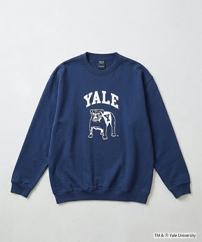 Rakuten - YALE(イェール) DOUBLEーSIDED PRINTING CREW SWEAT ビックシルエット 8.8oz スウェット スエット メンズ レディース カレッジプリント アメカジ バックプリント クマ ベアー ブランド
