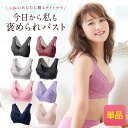 ブラ累計販売100万枚突破 公式 LUNAナチュラルアップナイトブラ 小胸 育乳 バストアップ バストケア ブラジャー ナイトブラ ルーナ ルーナブラ バストケア 夜用 補正 ノンワイヤー 夜ブラ LUNAブラ ルーナナイトブラLUNAナイトブラ 鈴木奈々 単品 育乳ブラ