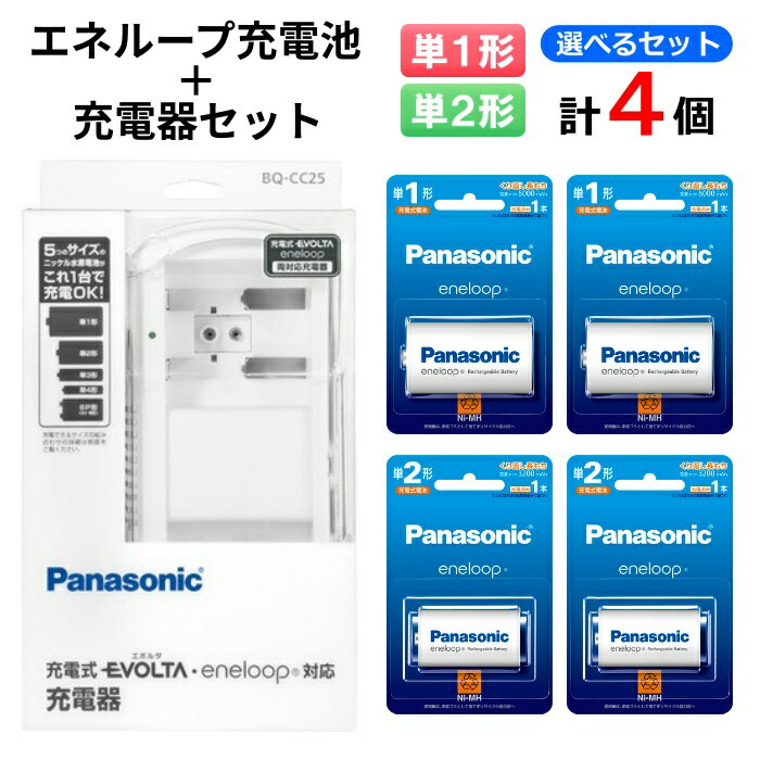 ѥʥ˥åñ1ñ2ѽŴBQ-CC25(4ܽť)+ñ12BK-1MCD/1+ñ22BK-2MCD/1ӥåȡBQCC25Panasonicñ1ñ2ññӥͥ롼ӽż