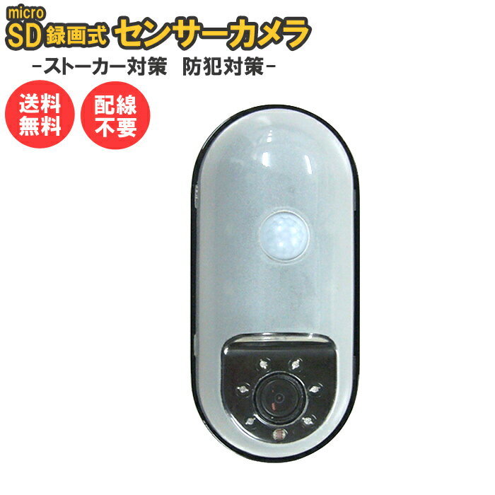 防犯カメラ microSD式センサーカメラ SD1000 [ 監視カメラ 防犯 防雨 防滴 防水 保護等級IP44 ストーカー対策 ガレージ 一人暮らし 女性 簡単 工事不要 リーベックス REVEX ]【送料無料】