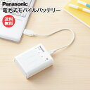 パナソニック USB入出力付充電器 電池式モバイルバッテリー BQ-CC91 Panasonic 単品 USBポート 懐中電灯 LEDライト 充電池 乾電池 防災グッズ 緊急時 災害 【定形外郵便送料無料】