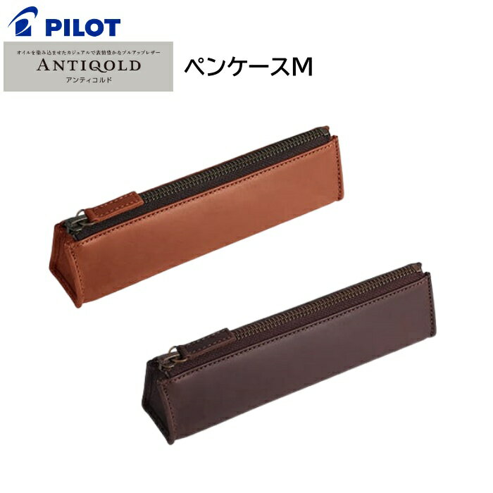 パイロット パイロット ペンケース ANTIQOLD アンティコルド ペンケースM AQPSF-01 [ PILOT 筆入れ 筆記用具 ペン入れ 筆箱 スリム コンパクト ビジネス 学生 男性 女性 ]【メール便送料無料】