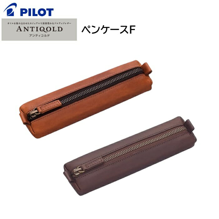 パイロット パイロット ペンケース ANTIQOLD アンティコルド ペンケースF AQPSF-01F [ PILOT 筆入れ 筆記用具 ペン入れ 筆箱 スリム コンパクト ビジネス 学生 男性 女性 ]【メール便送料無料】