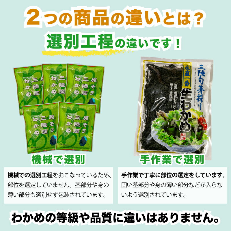 三陸産　【厳選】塩蔵わかめ800g　丸ほ保原商店　国産　わかめ　ヘルシー　海藻　...