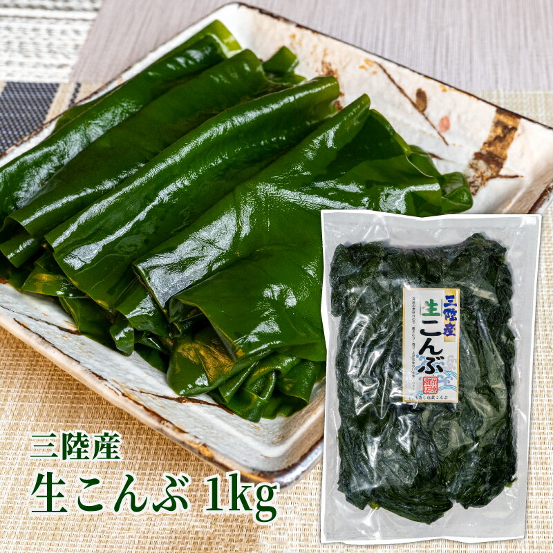楽天市場】塩蔵 昆布の通販