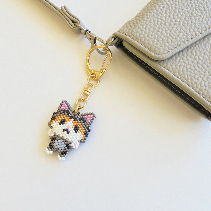 �ӡ������ƥå����å� ����ưʪ���Ȥ虜�����ۥ���� �ӡ������ƥå� ���å� �ӡ������å�