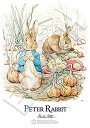 ۥӡɤ㤨֥ݥå 216ԡ ѥ PETER RABBIT ȥ  ӥȥꥯݥ?ޤͤȪΤդ ⡼ԡ (18.2x25.7cmפβǤʤ1,806ߤˤʤޤ