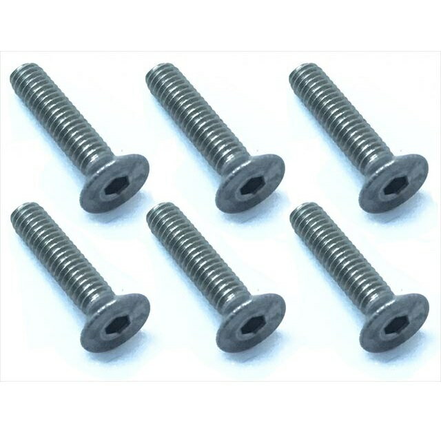 チタンヘックス皿ビス2.6×12mm ](JAN：4543880404934)