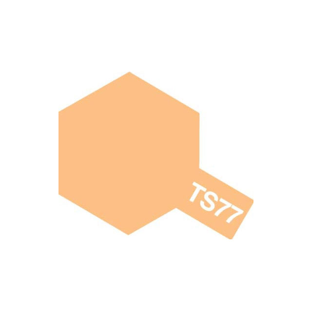 TS-77 tbgtbV [85077]](JANF4950344073801)