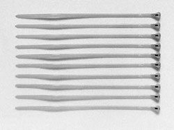 ʥХ ᥿եå(10) [SP-595](JAN4950344505951)