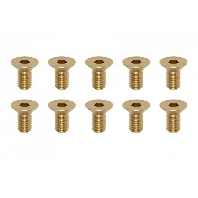 高精度切削 ブラス製フラットヘッドスクリュー M3×6mm(10本入) [RP-042-06BA](JAN：63934220858)