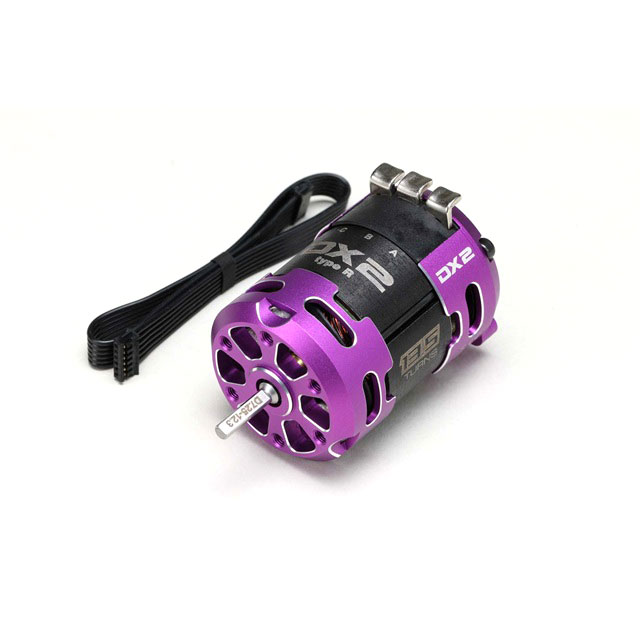 レーシングパフォーマー DX2 Type-R ブラシレスモーター 13.5T パープル [RPM-D2135RP](JAN：639342228..