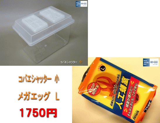 人工蛹室メガエッグL コバシャ小セット その1