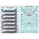 フライングレザーネックス 1/48 アメリカ海兵隊 F-35B ライトニングII デカールセット FL48017|詳細画像