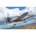 イタレリ 1/48 WW.II アメリカ軍 P-47D サンダーボルト ヨーロッパ戦線(未使用開封済み) プラモデル IT2835y