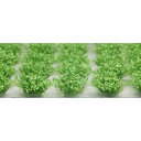 プラッツ/ノッホ MDBシリーズ 草むら・草丈12mm(緑・新芽つき・42株セット) MDB-7