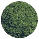 プラッツ/ノッホ MDPシリーズ パウダーリーフ・緑(葉径0.5~1.5mm) MDP-2