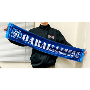 プラッツ ガールズ&パンツァー 最終章 冬季無限軌道杯 大洗女子学園 応援タオル GPG-114