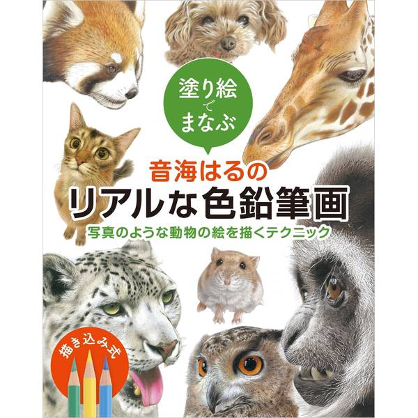 塗り絵でまなぶ音海はるのリアルな色...
