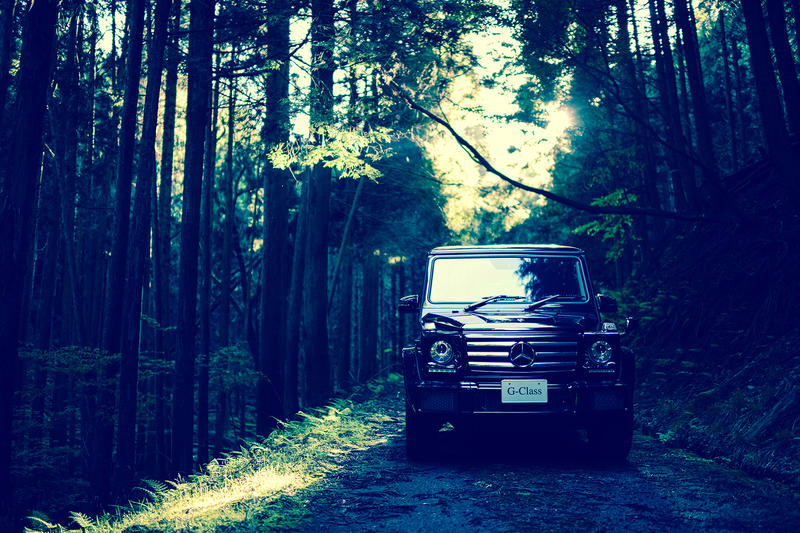륻ǥ٥ G饹  AMG G63 G550 G350d W463  ȥѥͥ ȥե졼 ɳݤ ...
