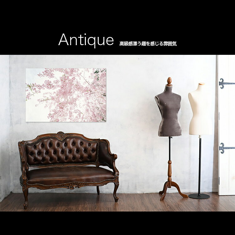 アートパネル アートフレーム 壁掛け インテリア artmart アートマート アートポスターやアートボード、ファブリックパネルで部屋をおしゃれに!モダン アンティーク 北欧 花 海 絵 写真 ポスター イラスト モノクロ モノトーン自然_花_0794