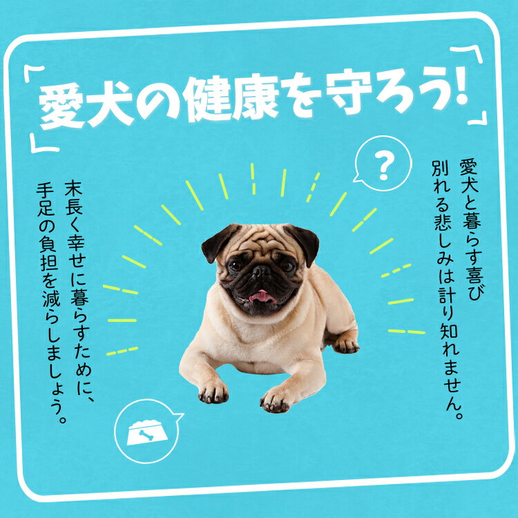 【超滑り止め・日本製】 ドッグステップ 犬 ペット 階段 スロープ 犬用 ステップ 踏み台 犬の階段 ミニチュアダックス トイプードル チワワ 柴犬 子犬 小型犬 室内犬 シニア犬 高齢犬 老犬 猫 介護用品 ペット用品 ドックステップ ドッグアシスト 【LotNo.06】