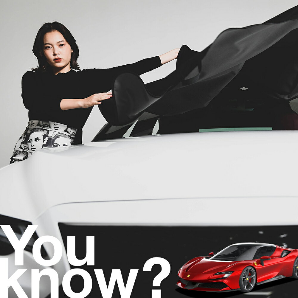 【高級車用】朝、フロントガラスの凍結を防止 フェラーリ SF90 ストラダーレ フロントカバー 凍結防止 サンシェード 普通車 SUV シート 車用カバー 日除け 霜よけ 雪避け 雪 霜 車中泊 カーシェード プライバシーサンシェード LotNo.01