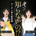 【日本製】 カーテン マグネット マグネットカーテン メッシュ タイプ メッシュカーテン UVカット 紫外線 大判90cmワイド 日除け 日よけ サンシェード 後部座席 サイド 車用 車用品 車カーテン 車中泊 グッズ カー用品 【ネコポス】Lot No.02