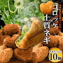 送料無料 コロッケ ネギ 冷凍 食品 10個入 ギフト プレゼント 惣菜 ソース 青ねぎ 人気 食べ物 内祝い 誕生日 父の日 母の日 セット お弁当 おかず ...