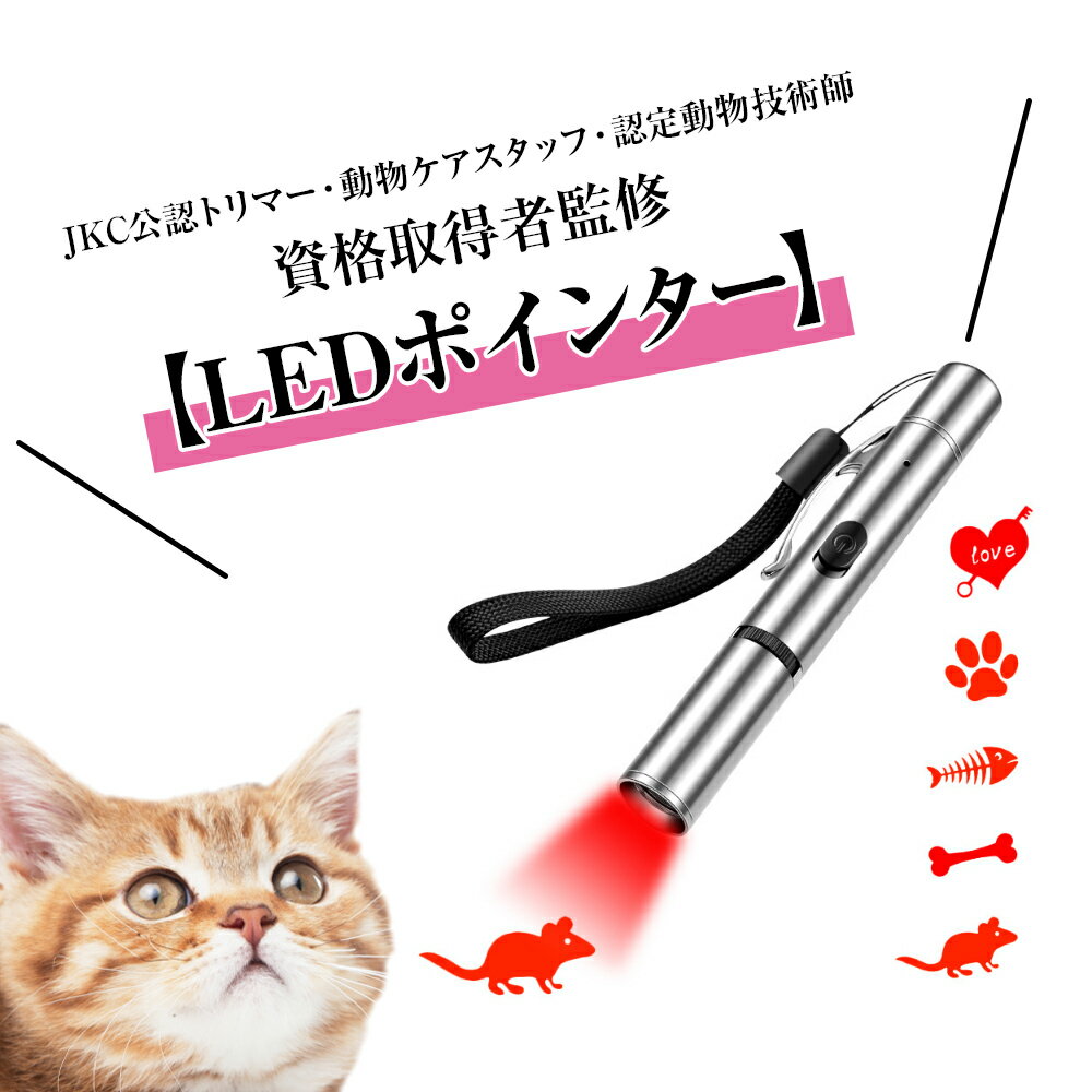 【楽天1位受賞商品】 猫 おもちゃ 猫 ポインター 猫じゃらし USB充電 ライト ねこじゃらし 猫用おもちゃ 猫 ねこ ネコ キャット ストレス解消 運動不足 光るおもちゃ LEDポインター 猫 送料無料