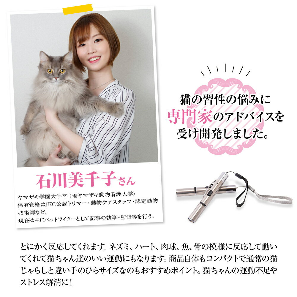 【楽天1位受賞商品】 猫 おもちゃ 猫 ポインター 猫じゃらし USB充電 ライト ねこじゃらし 猫用おもちゃ 猫 ねこ ネコ キャット ストレス解消 運動不足 光るおもちゃ LEDポインター 猫 送料無料