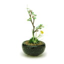 プラッツ THE BONSAI 1/12 丸鉢寄せ植え【黒】 完成品 BONN06