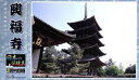 童友社 1/400 日本の伝統美 興福寺五重塔 プラモデル JD-13 成形色 お城 お寺