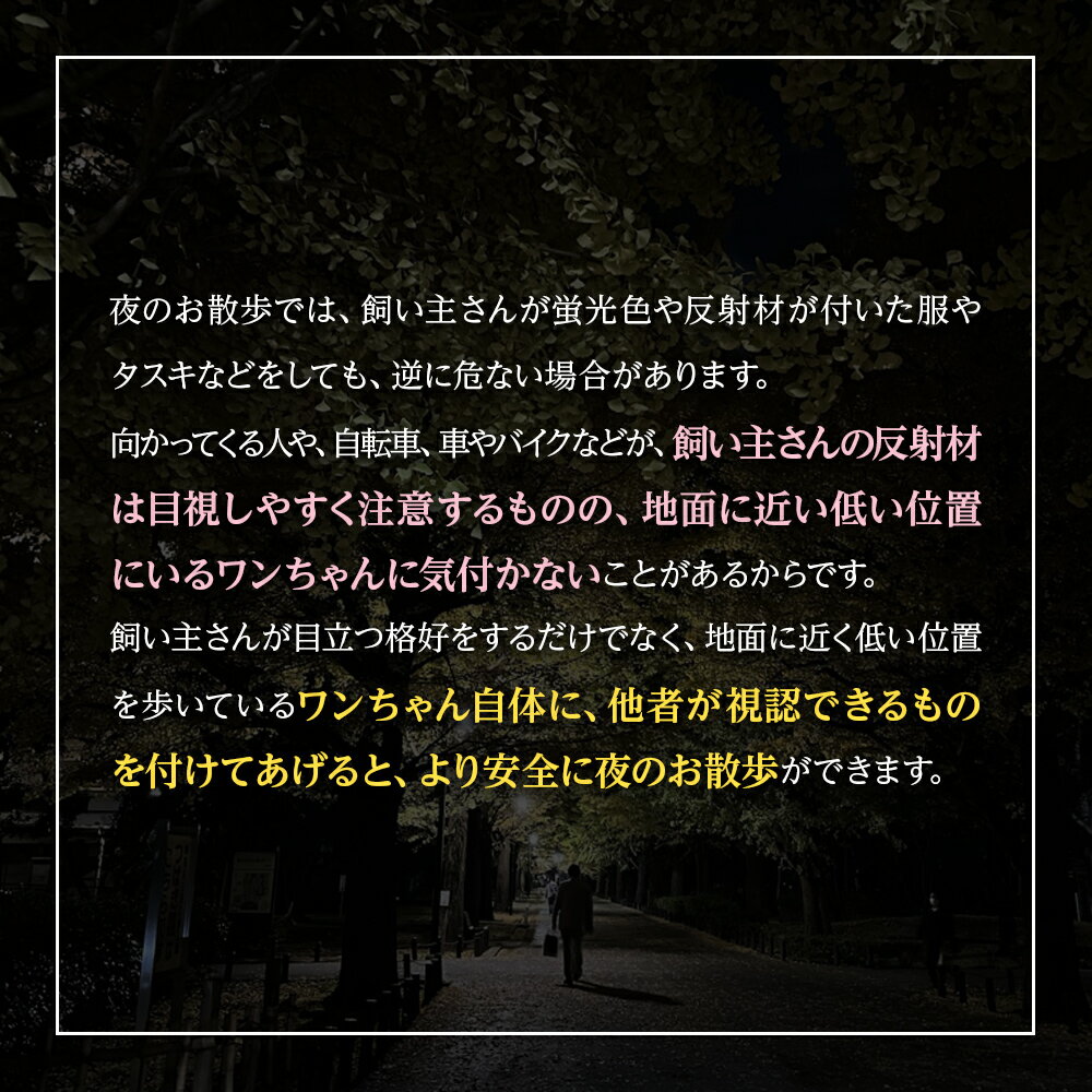 光る首輪 【2個セット】 USB充電式 サイズ調整可 LEDライト 光る 首輪 ペット 犬 猫 カラー 点灯 点滅 小型犬 中型犬 大型犬 夜 散歩 安全 事故防止 安全グッズ ペット用品 ドッググッズ 犬用品 便利 簡単 送料無料