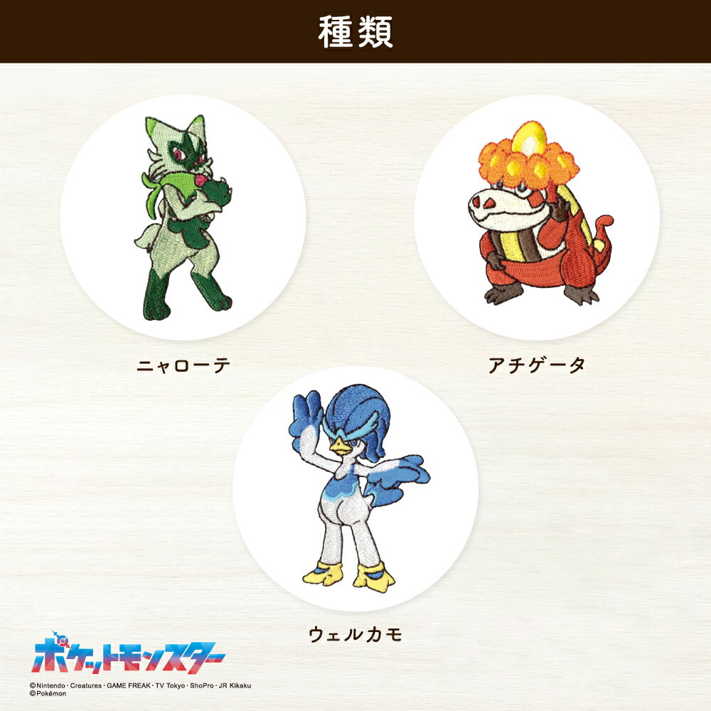 ポケットモンスターシールワッペン4