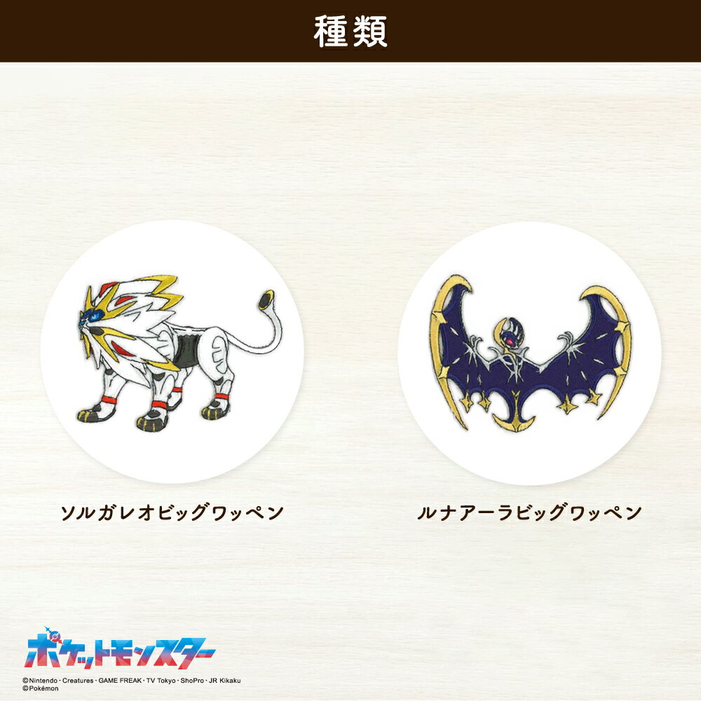 ポケットモンスタービックワッペン