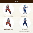 ドラゴンボール超 ビックシールワッペン(全身)2