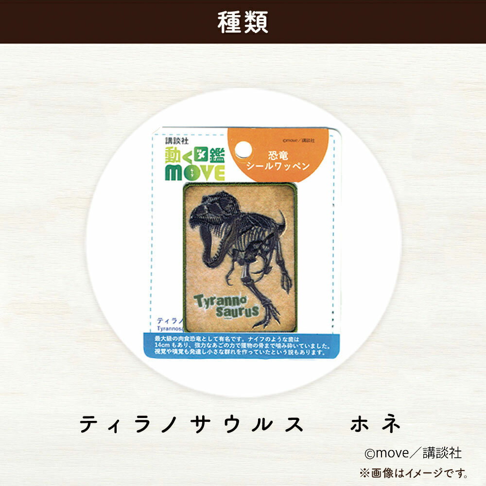 恐竜シールワッペン3