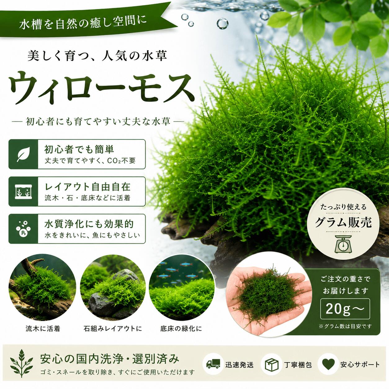 楽天市場】流木 ビオトープの通販