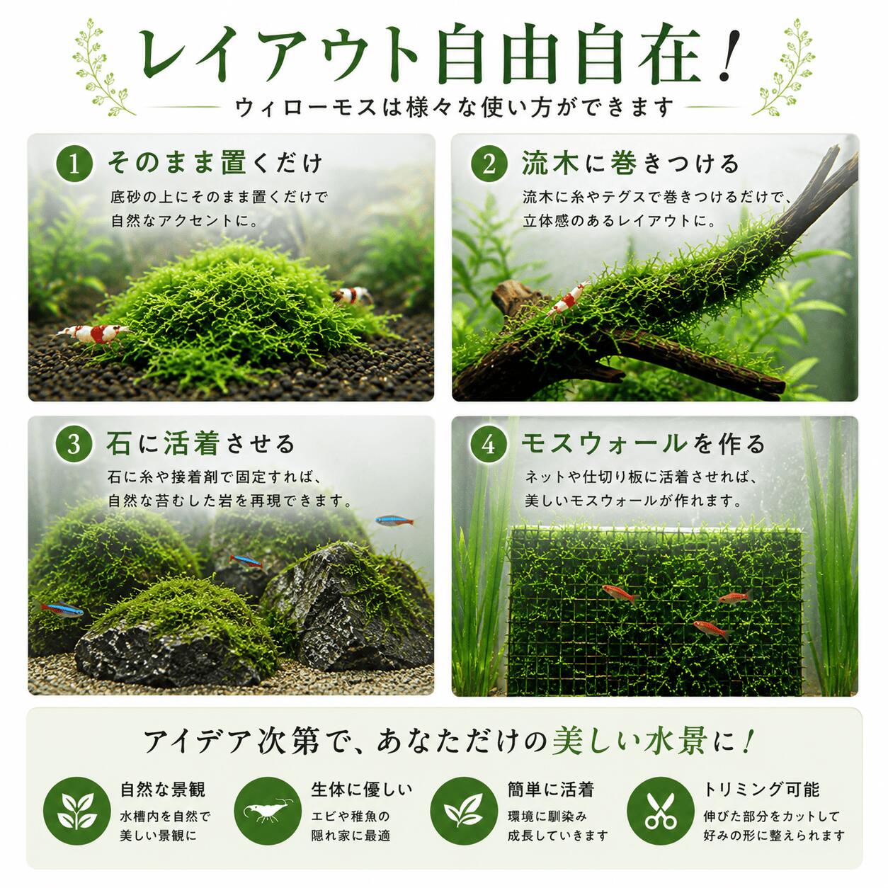 ウィローモス 20g〜 無農薬 メダカ 産卵床 稚魚 隠れ家 ビオトープ 水草
