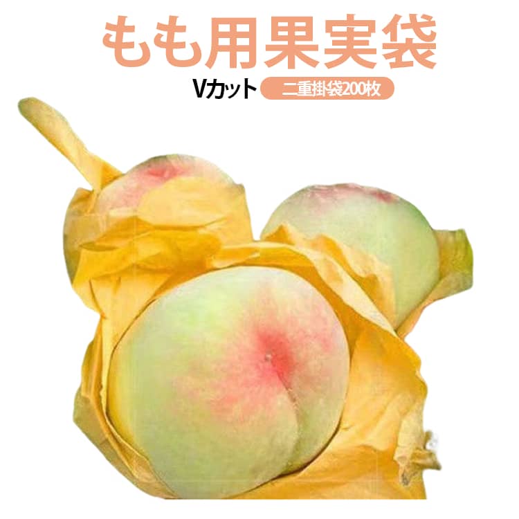 桃（もも・モモ・ピーチ）用の果実掛袋。虫・鳥・傷から守る桃の掛け袋！薄くて、通気性あり、光を透過して、透湿性はすべて比較的に良くて、風雨に耐えて、老化に抵抗して、木の上で5ヶ月使用中破れません。果実の直径は9.5センチ未満のすべてカバーすることができます。底部分は通気、導水効果の三つ通気穴があります。口を固定しやすい止め金付きます。ももだけではなく、びわ・なし・みかん用の掛袋としてもご利用いただけます。 サイズ 198*160mm 180*150mm サイズについての説明 198*160mm 180*150mm 素材 パルプ 色 200枚セット 備考 ●サイズ詳細等の測り方はスタッフ間で統一、徹底はしておりますが、実寸は商品によって若干の誤差(1cm～3cm )がある場合がございますので、予めご了承ください。 ●製造ロットにより、細部形状の違いや、同色でも色味に多少の誤差が生じます。 ●パッケージは改良のため予告なく仕様を変更する場合があります。 ▼商品の色は、撮影時の光や、お客様のモニターの色具合などにより、実際の商品と異なる場合がございます。あらかじめ、ご了承ください。 ▼生地の特性上、やや匂いが強く感じられるものもございます。数日のご使用や陰干しなどで気になる匂いはほとんど感じられなくなります。 ▼同じ商品でも生産時期により形やサイズ、カラーに多少の誤差が生じる場合もございます。 ▼他店舗でも在庫を共有して販売をしている為、受注後欠品となる場合もございます。予め、ご了承お願い申し上げます。 ▼出荷前に全て検品を行っておりますが、万が一商品に不具合があった場合は、お問い合わせフォームまたはメールよりご連絡頂けます様お願い申し上げます。速やかに対応致しますのでご安心ください。