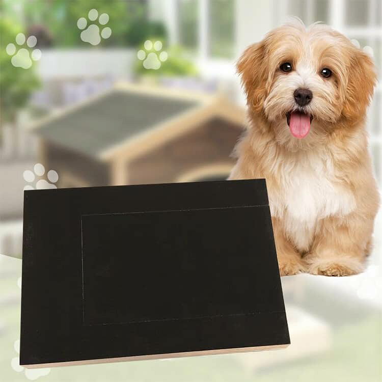 ホビールートの犬 犬用 おやつ収納付き 爪やすり おやつ おもちゃ セルフ爪ケア 爪磨き 爪切り補助 2WAY 爪のお手入れ 交換用爪とぎシート付き 犬用 猫 木製 フード 爪とぎボード ストレス解消 しつけ 引き出し式 ペット用品 キャット ドッグ｜アングル3