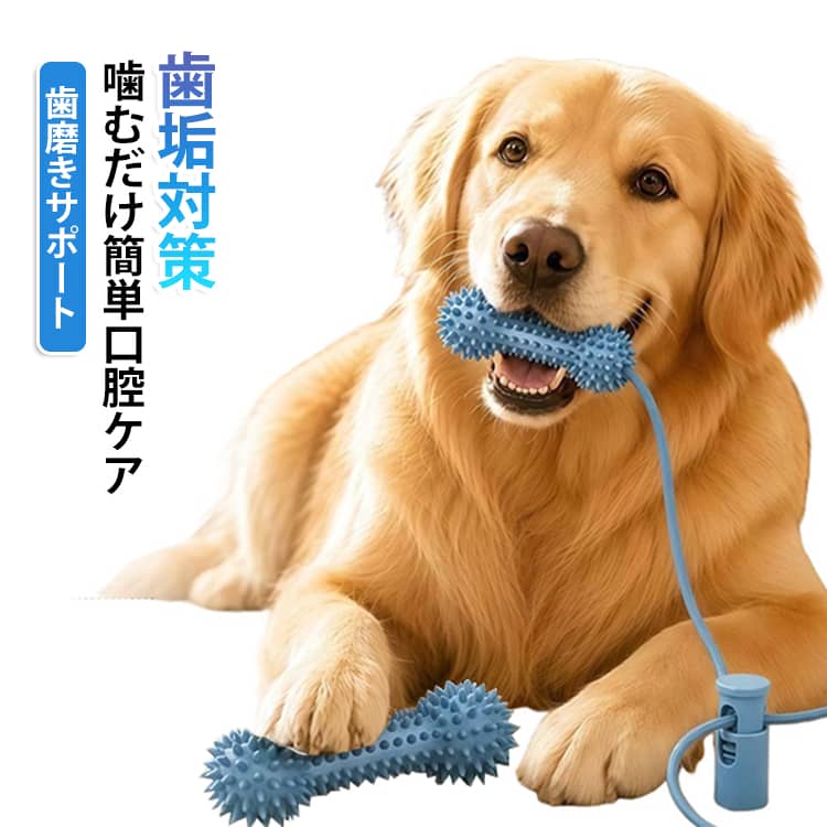 無毒無臭で愛犬が直接噛んでも安心できる柔らか素材。凸凹ブラシ構造で口腔ケアをサポート約300個の凹凸突起が歯のすき間まで刺激。噛むことで歯の表面をやさしく刺激し、毎日のデンタルケアをサポート。2WAY使用可能、歯磨きサポートとして口を開ける補助になり、飼い主さんの歯磨き負担を軽減。おやつペーストを塗って遊びながらケア凹凸部分にペーストを塗ることで、愛犬が自分で噛みながら楽しめます。誤飲を防ぐロープ結び設計、ロープ付き設計で持ちやすく、使用後は簡単に吊り下げ収納可能。 サイズ F サイズについての説明 10*4CM　※サイズ表の実寸法は商品によって1-2cm程度の誤差がある場合がございます。　 素材 PVC 色 ブルー 備考 ●サイズ詳細等の測り方はスタッフ間で統一、徹底はしておりますが、実寸は商品によって若干の誤差(1cm～3cm )がある場合がございますので、予めご了承ください。 ●製造ロットにより、細部形状の違いや、同色でも色味に多少の誤差が生じます。 ●パッケージは改良のため予告なく仕様を変更する場合があります。 ▼商品の色は、撮影時の光や、お客様のモニターの色具合などにより、実際の商品と異なる場合がございます。あらかじめ、ご了承ください。 ▼生地の特性上、やや匂いが強く感じられるものもございます。数日のご使用や陰干しなどで気になる匂いはほとんど感じられなくなります。 ▼同じ商品でも生産時期により形やサイズ、カラーに多少の誤差が生じる場合もございます。 ▼他店舗でも在庫を共有して販売をしている為、受注後欠品となる場合もございます。予め、ご了承お願い申し上げます。 ▼出荷前に全て検品を行っておりますが、万が一商品に不具合があった場合は、お問い合わせフォームまたはメールよりご連絡頂けます様お願い申し上げます。速やかに対応致しますのでご安心ください。