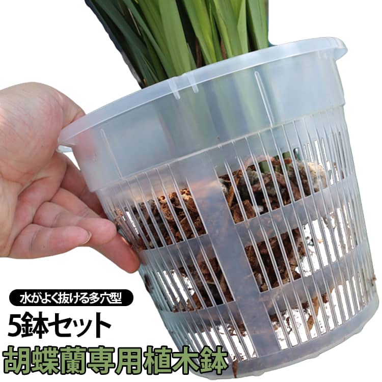 育苗ポットは透明で、いつでも植物の根の成長や土の水分を観察できます。厚くて丈夫で、落としても簡単に壊れたり変形したりしません。植え替え用蘭鉢はお手入れ簡単で繰り返し使えます。側面の多孔性の穴に加え鉢底も複数の穴を標準としているので、より一層水はけ、通気性に優れています。胡蝶蘭だけでなく、多肉植物、果樹、植木栽培にもお勧め！ サイズ 直径11cm 直径14cm 直径16cm 直径19cm サイズについての説明 サイズ：直径11cm 直径14cm 直径16cm 直径19cm※測定方法によって誤差が生じますので、予めご了承下さい。 素材 プラスチック 色 5鉢セット(受皿付き) 備考 ●サイズ詳細等の測り方はスタッフ間で統一、徹底はしておりますが、実寸は商品によって若干の誤差(1cm～3cm )がある場合がございますので、予めご了承ください。 ●製造ロットにより、細部形状の違いや、同色でも色味に多少の誤差が生じます。 ●パッケージは改良のため予告なく仕様を変更する場合があります。 ▼商品の色は、撮影時の光や、お客様のモニターの色具合などにより、実際の商品と異なる場合がございます。あらかじめ、ご了承ください。 ▼生地の特性上、やや匂いが強く感じられるものもございます。数日のご使用や陰干しなどで気になる匂いはほとんど感じられなくなります。 ▼同じ商品でも生産時期により形やサイズ、カラーに多少の誤差が生じる場合もございます。 ▼他店舗でも在庫を共有して販売をしている為、受注後欠品となる場合もございます。予め、ご了承お願い申し上げます。 ▼出荷前に全て検品を行っておりますが、万が一商品に不具合があった場合は、お問い合わせフォームまたはメールよりご連絡頂けます様お願い申し上げます。速やかに対応致しますのでご安心ください。