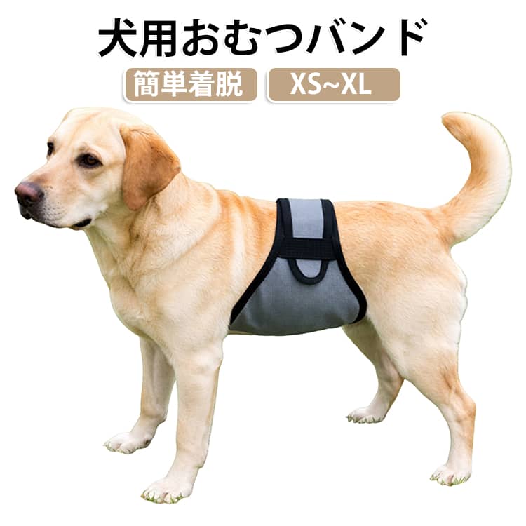 マナーケアに取り入れやすい腹巻きタイプの犬用おむつバンドです。お腹まわりをやさしく包み込む形状で愛犬の体にしっかりフィットし、おうちでのマナーケアやお出かけ時のおしっこ対策、シニア犬や高齢犬の介護時など幅広いシーンで活躍します。装着部分には面ファスナーを採用しているため体型に合わせて細かく調整でき、着脱もスムーズに行えます。直接肌に触れる内側にはやわらかな生地を使用しており、愛犬への負担を軽減する優しい設計に仕上げました。 サイズ XS S M L XL サイズについての説明 XS：幅 約14cm／腰まわり 約32～40cmS：幅 約16cm／腰まわり 約36～44cmM：幅 約18cm／腰まわり 約46～52cmL：幅 約20cm／腰まわり 約54～62cmXL：幅 約22cm／腰まわり 約60～72cm 素材 ポリエステル 色 グレー 備考 ●サイズ詳細等の測り方はスタッフ間で統一、徹底はしておりますが、実寸は商品によって若干の誤差(1cm～3cm )がある場合がございますので、予めご了承ください。 ●製造ロットにより、細部形状の違いや、同色でも色味に多少の誤差が生じます。 ●パッケージは改良のため予告なく仕様を変更する場合があります。 ▼商品の色は、撮影時の光や、お客様のモニターの色具合などにより、実際の商品と異なる場合がございます。あらかじめ、ご了承ください。 ▼生地の特性上、やや匂いが強く感じられるものもございます。数日のご使用や陰干しなどで気になる匂いはほとんど感じられなくなります。 ▼同じ商品でも生産時期により形やサイズ、カラーに多少の誤差が生じる場合もございます。 ▼他店舗でも在庫を共有して販売をしている為、受注後欠品となる場合もございます。予め、ご了承お願い申し上げます。 ▼出荷前に全て検品を行っておりますが、万が一商品に不具合があった場合は、お問い合わせフォームまたはメールよりご連絡頂けます様お願い申し上げます。速やかに対応致しますのでご安心ください。