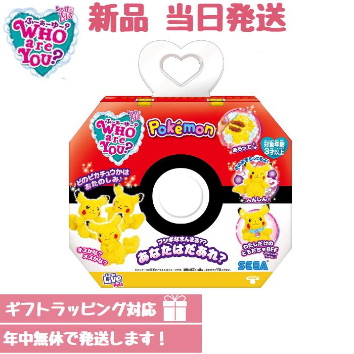 最大24倍還元 WHO are YOU? ポケモン ピカチュウ ギフトラッピングのサムネイル