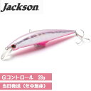 ジャクソン Gコントロール ルアー ヒラメノエサ ミノー 93mm 28g ヒラメのエサ/ダブルアカキン