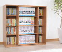 本棚 スライド スライドボックス SBO-8590 幅約89×奥行約33.5×高さ約85.4cm コミック本 小説 文庫本 新書 大容量 マンガブックシェルフ スライド 漫画本収納 本 DVD ゲームソフト収納 ラック カラーボックス アイリスオーヤマ【BS】